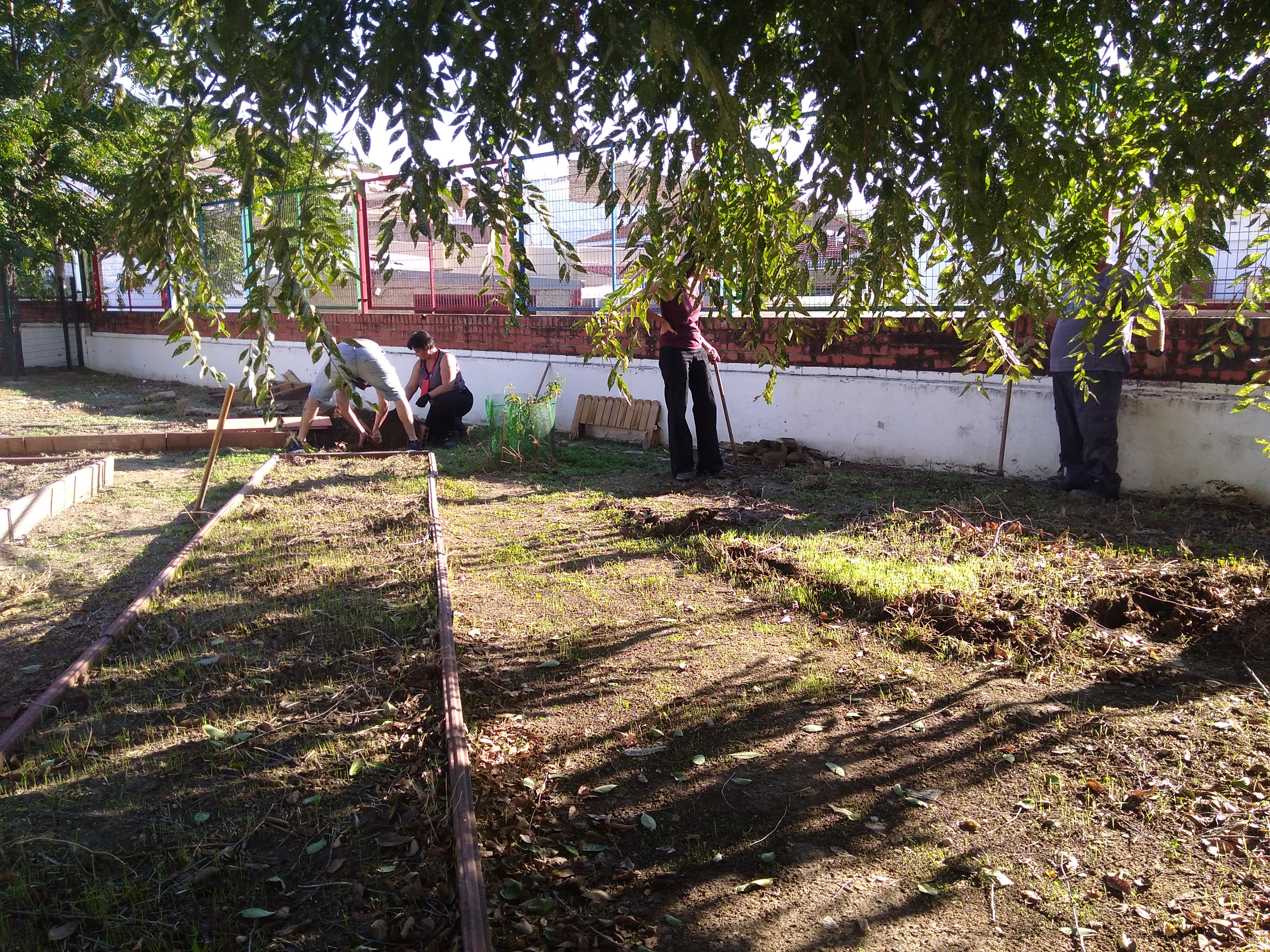 CEIP Cruz Blanca
